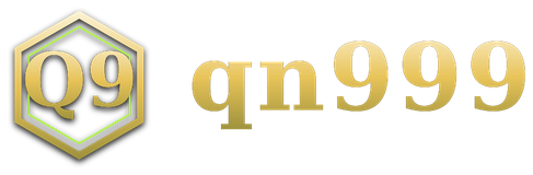 qn999 logo